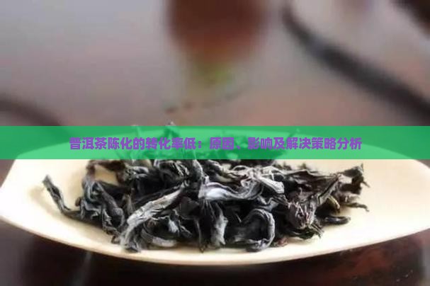 普洱茶陈化的转化率低：原因、影响及解决策略分析