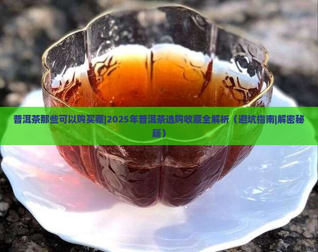 普洱茶那些可以购买藏