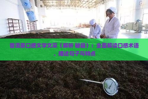 普洱茶口感文字文采