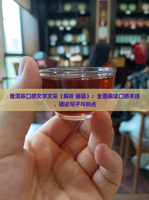普洱茶口感文字文采