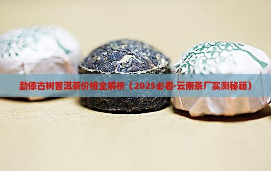 勐傣古树普洱茶价格表