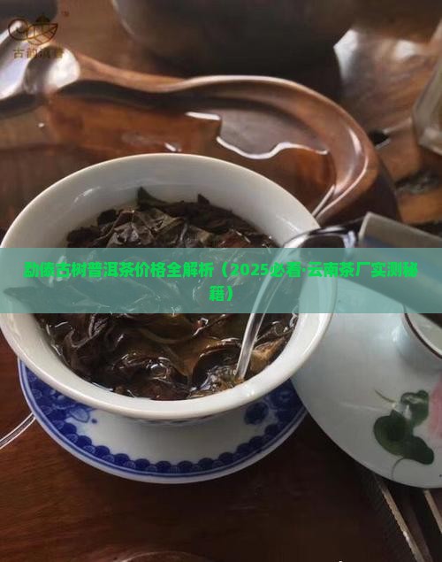 勐傣古树普洱茶价格表