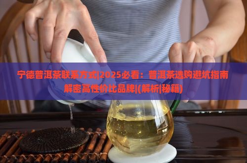 宁德普洱茶联系方式