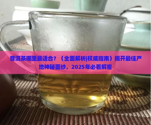 普洱茶哪里最适合