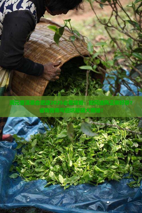 润元普洱茶合肥店