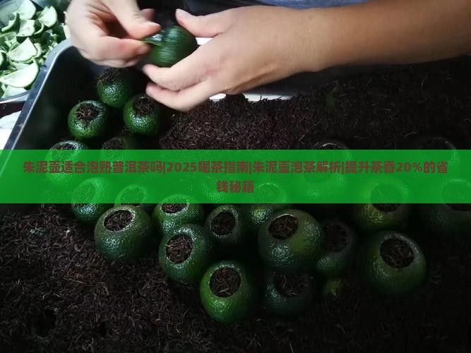 朱泥壶适合泡熟普洱茶吗