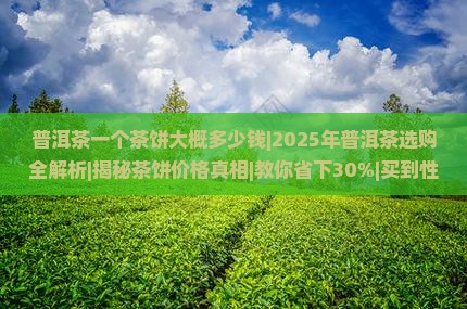 普洱茶一个茶饼大概多少钱