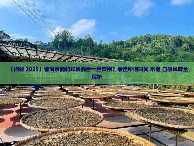 普洱茶能和红茶混合喝嘛