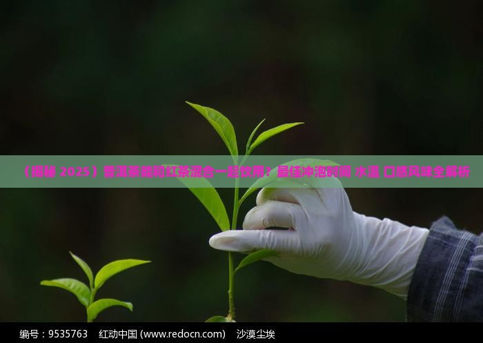 普洱茶能和红茶混合喝嘛