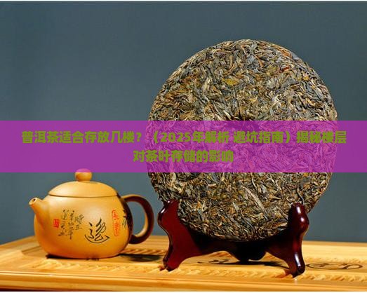 普洱茶适合存放几楼
