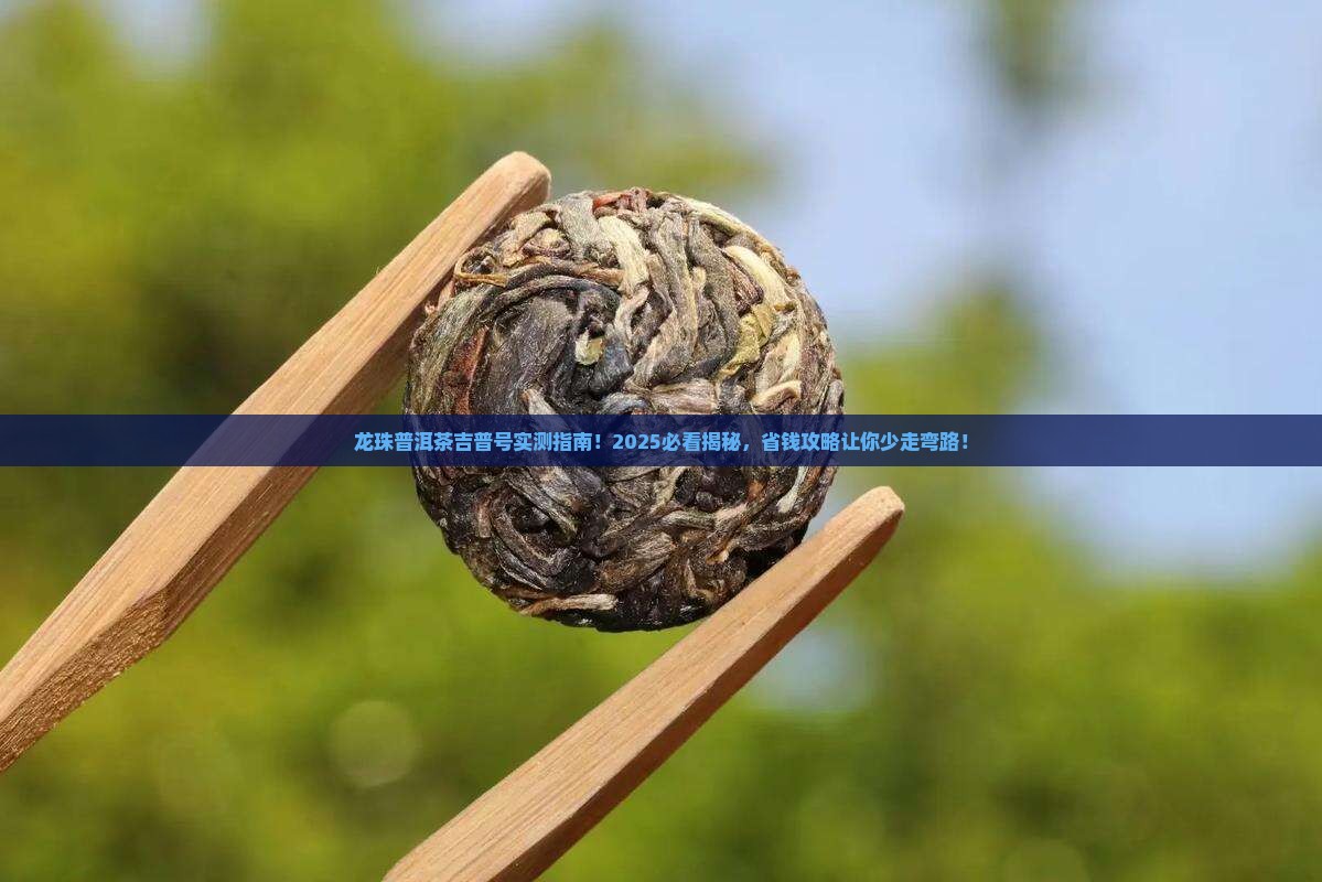 龙珠普洱茶吉普号