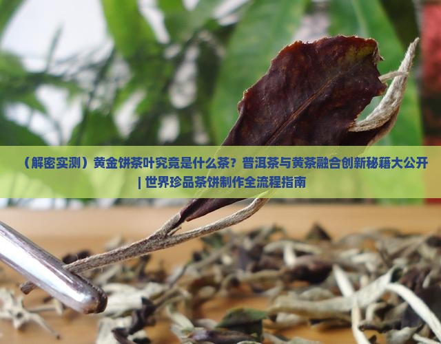 黄金饼茶叶是什么茶
