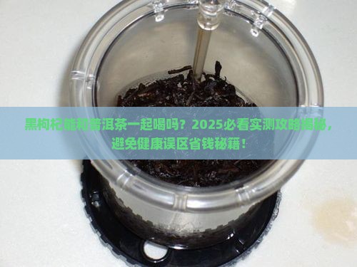 黑枸杞能和普洱茶