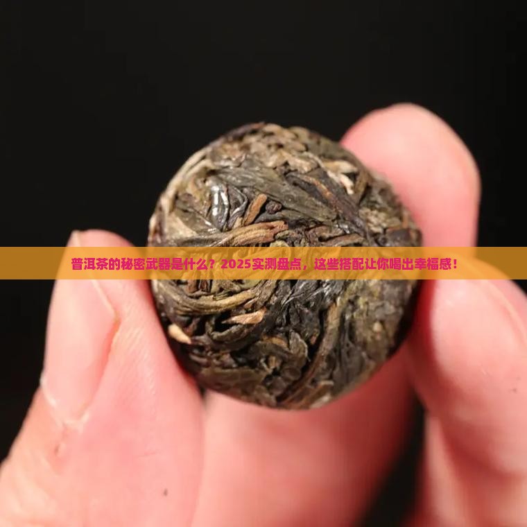 普洱茶加什么绝配好喝一点