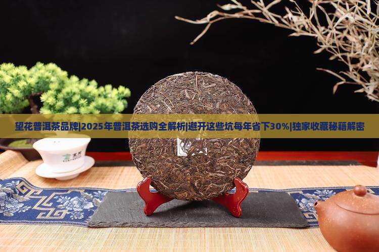 望花普洱茶品牌