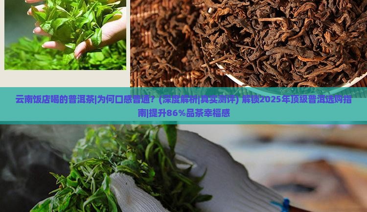云南饭店喝的普洱茶