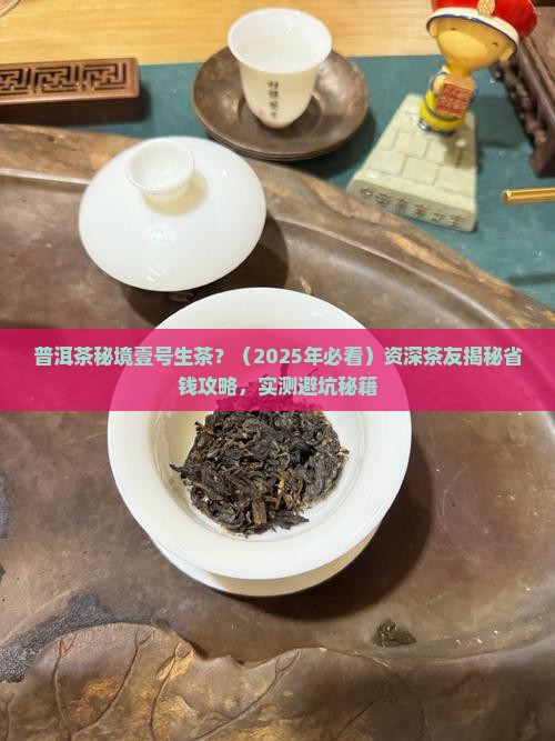 普洱茶秘境壹号生茶