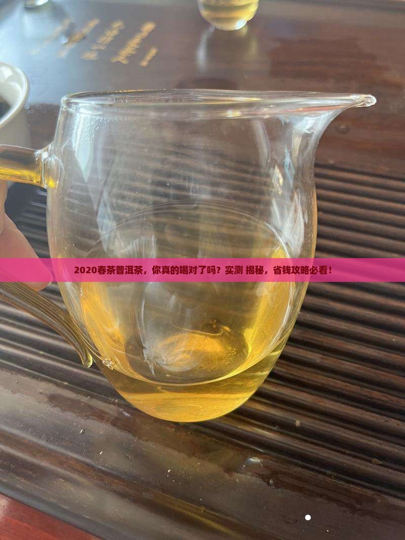 普洱茶2020春茶