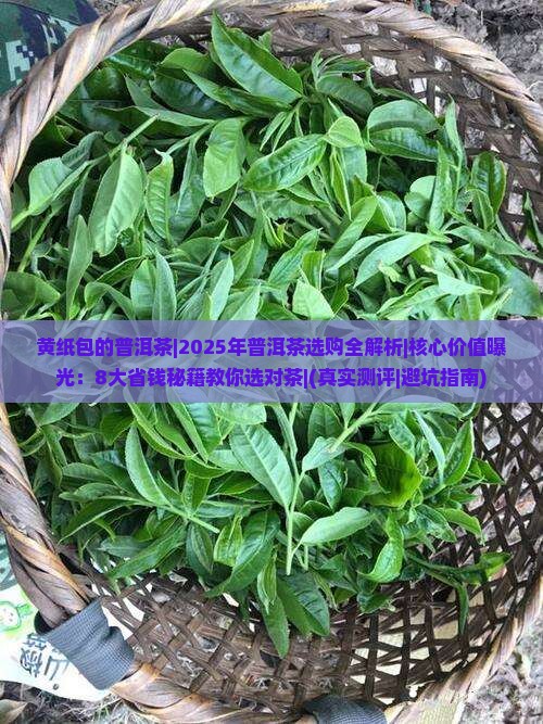黄纸包的普洱茶