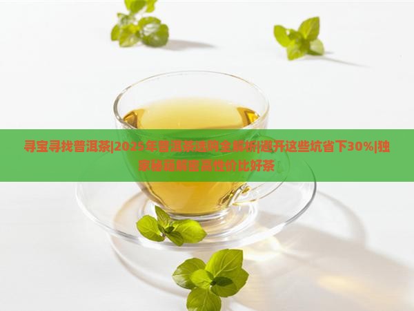 寻宝寻找普洱茶