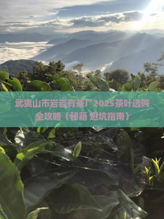 武夷山市岩岩有茶厂