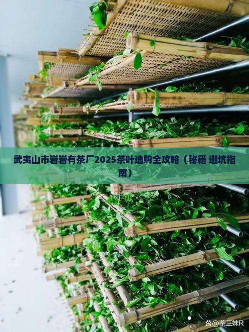 武夷山市岩岩有茶厂