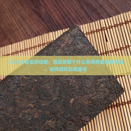 煮普洱茶用那个壶