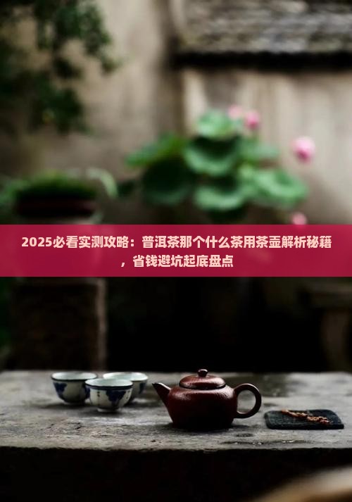 煮普洱茶用那个壶