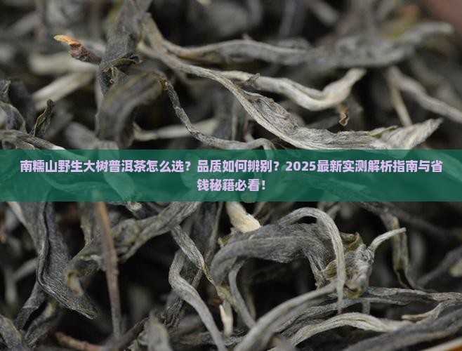 南糯山野生大树普洱茶 南糯山野生大树普洱茶