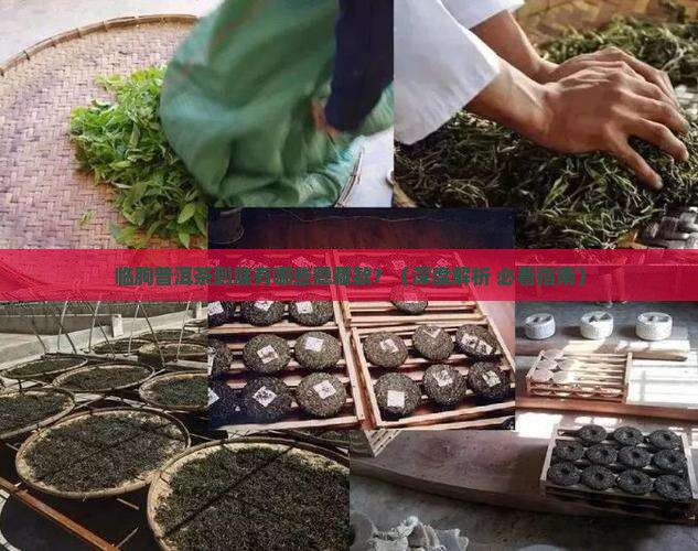 临朐普洱茶有哪些品种