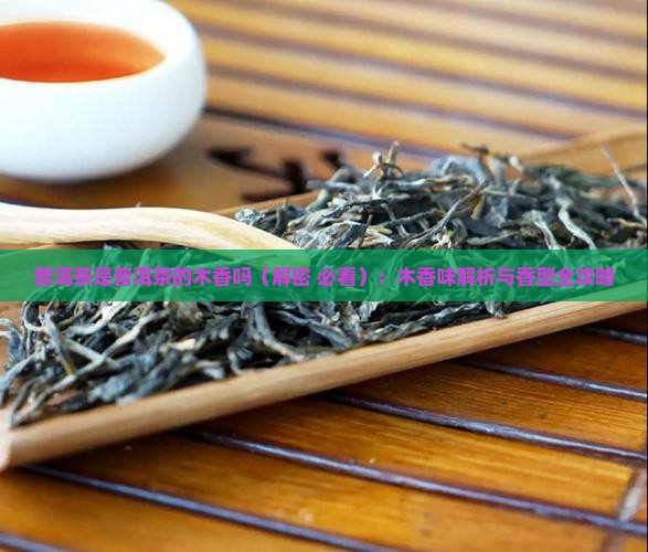普洱茶是普洱茶的木香吗