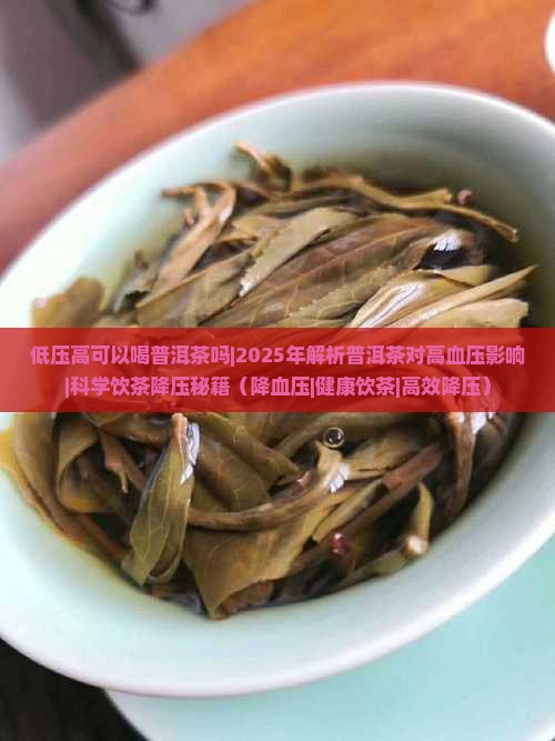 低压高可以喝普洱茶吗