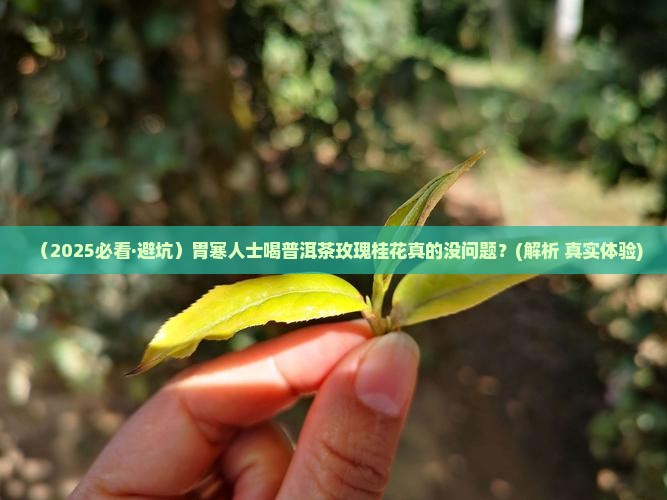 普洱茶玫瑰桂花胃寒能喝么