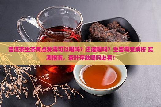 普洱茶生茶有点发霉可以喝吗