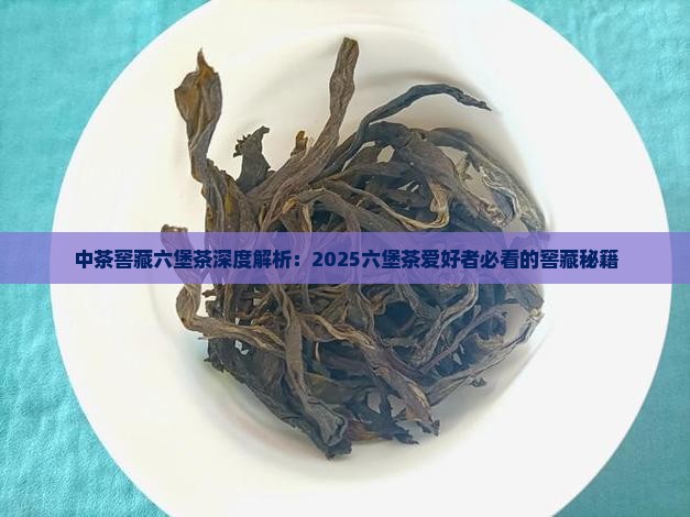 中茶窖藏六堡茶