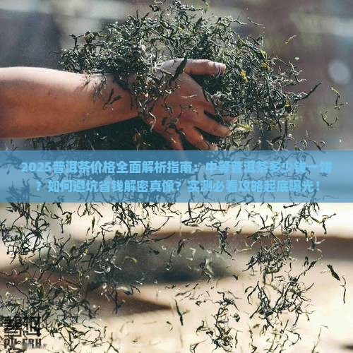 中等普洱茶多少钱一饼 中等普洱茶多少钱一饼