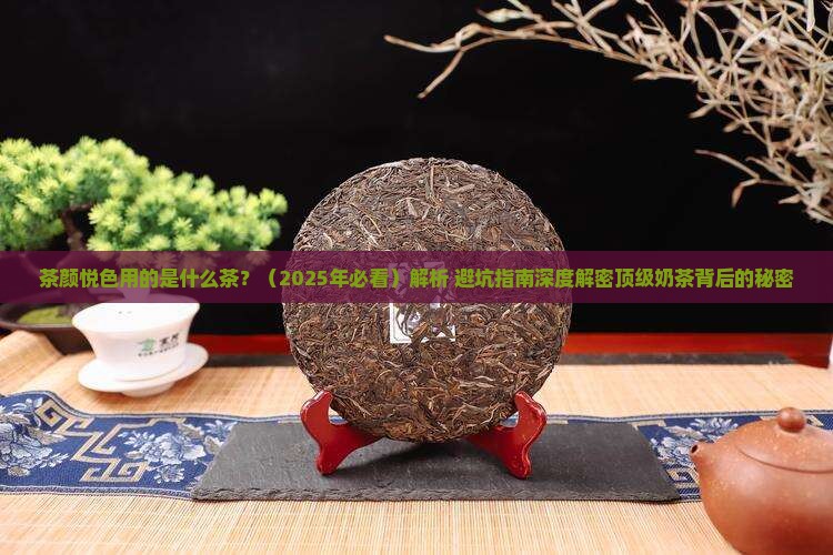 茶颜用的什么茶