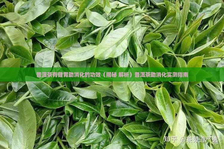普洱茶有健胃助消化的功效