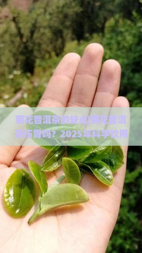 菊花普洱茶的缺点
