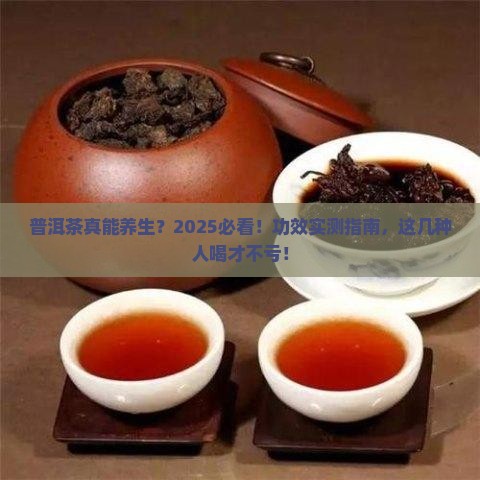 普洱茶功效适合哪种人群