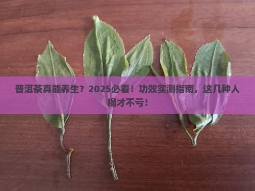 普洱茶功效适合哪种人群