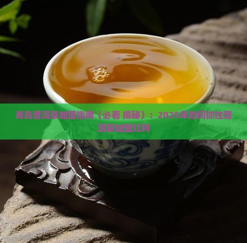 青岛普洱茶代理招商加盟