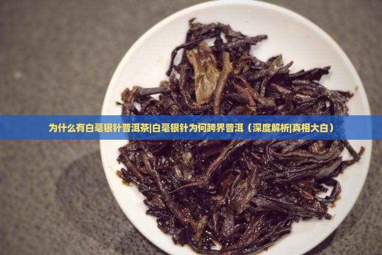 为什么有白毫银针普洱茶