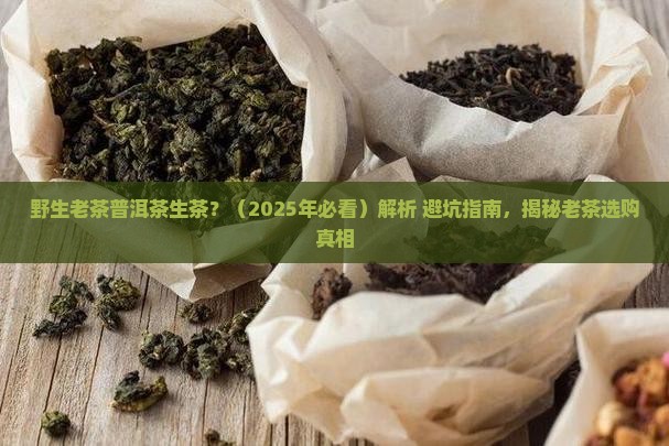 野生老茶普洱茶生茶