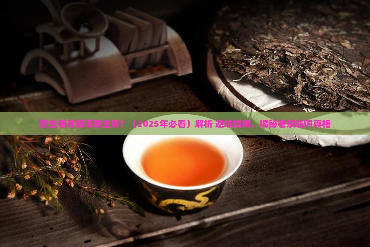 野生老茶普洱茶生茶
