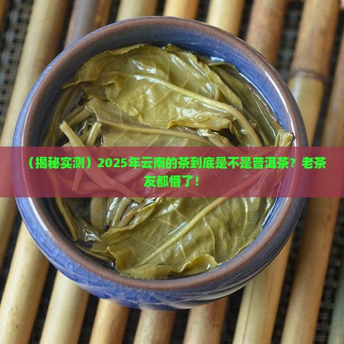 云南的茶是不是普洱茶