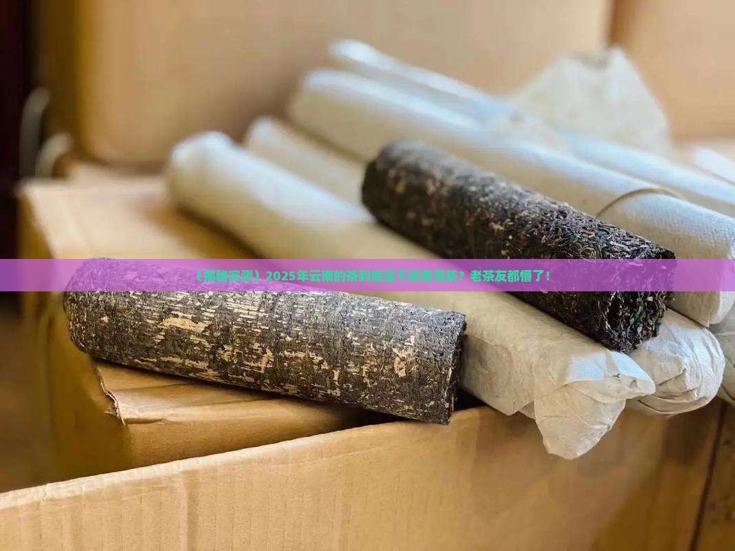 云南的茶是不是普洱茶