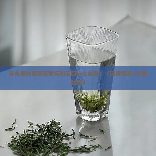 苏永康普洱茶意义