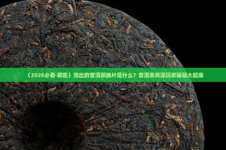 泡出的普洱茶鳞片什么