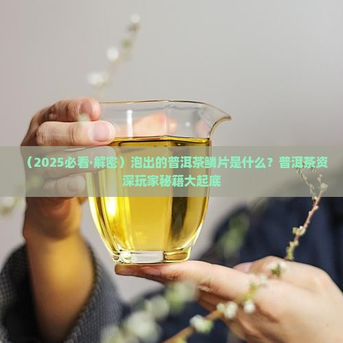 泡出的普洱茶鳞片什么